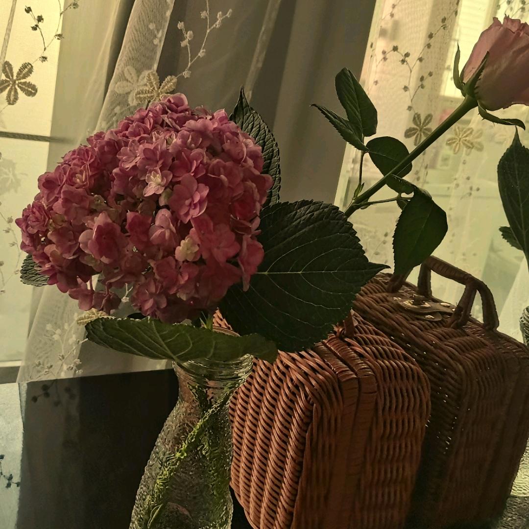 心有繁花