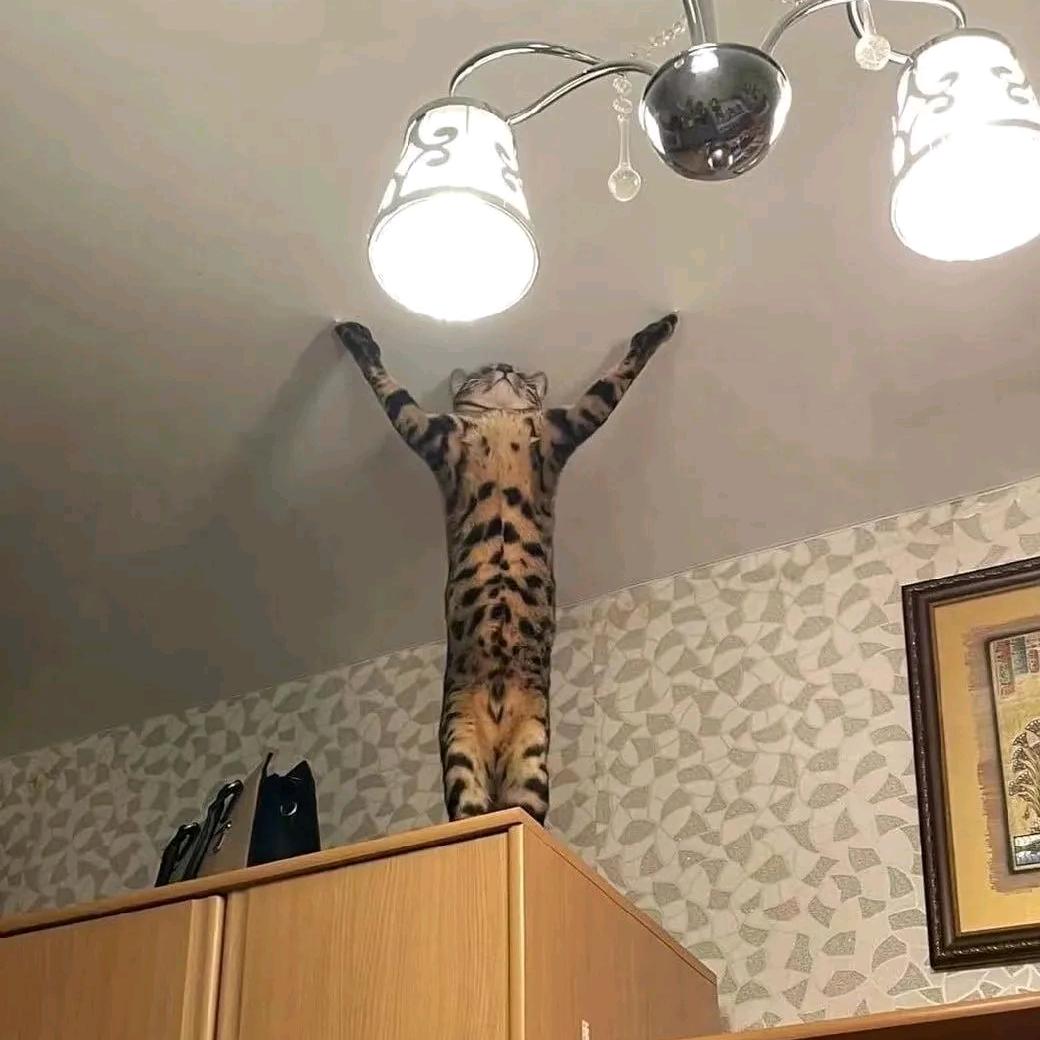 于钰舒舒舒舒芙蕾