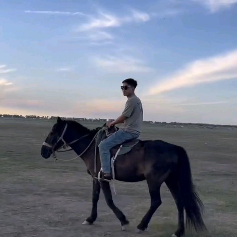 吹海風. （灯笼长廊 婚庆策划）