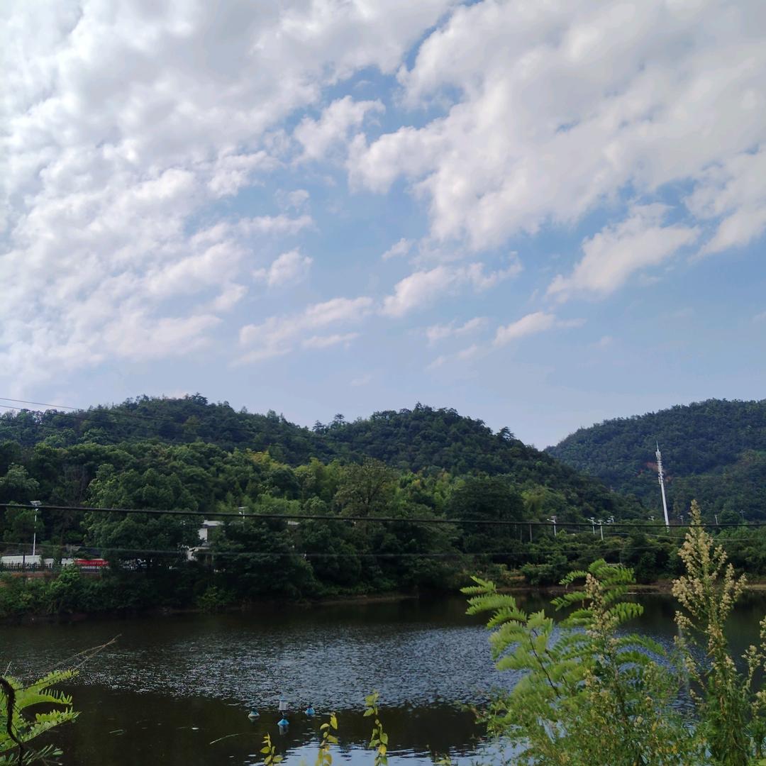 金湖