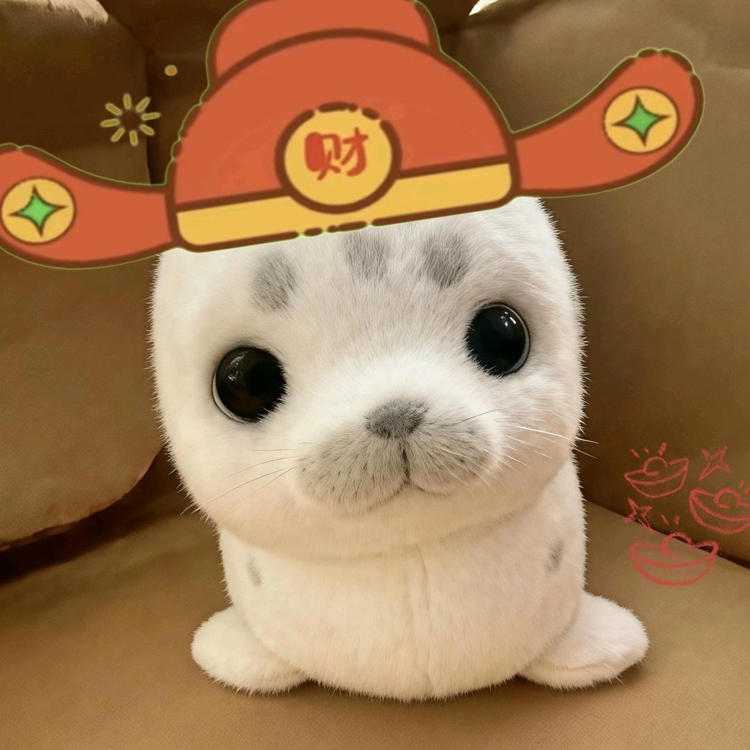 米西米西拉不拉叽୧⍢⃝୨