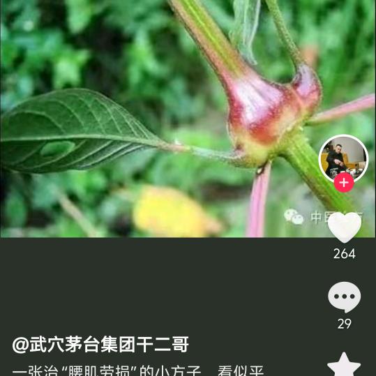 搞笑院，主任