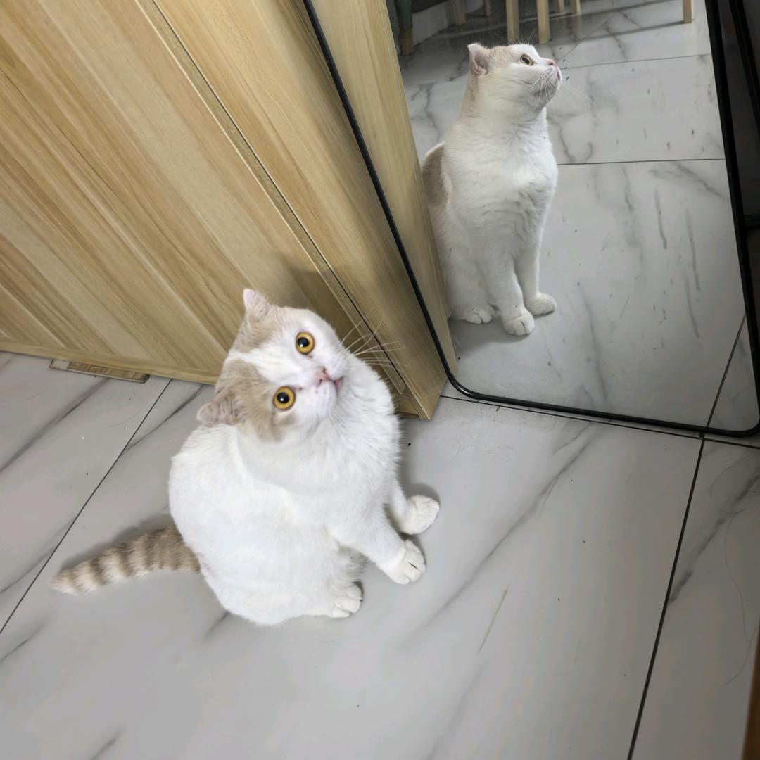 1杆