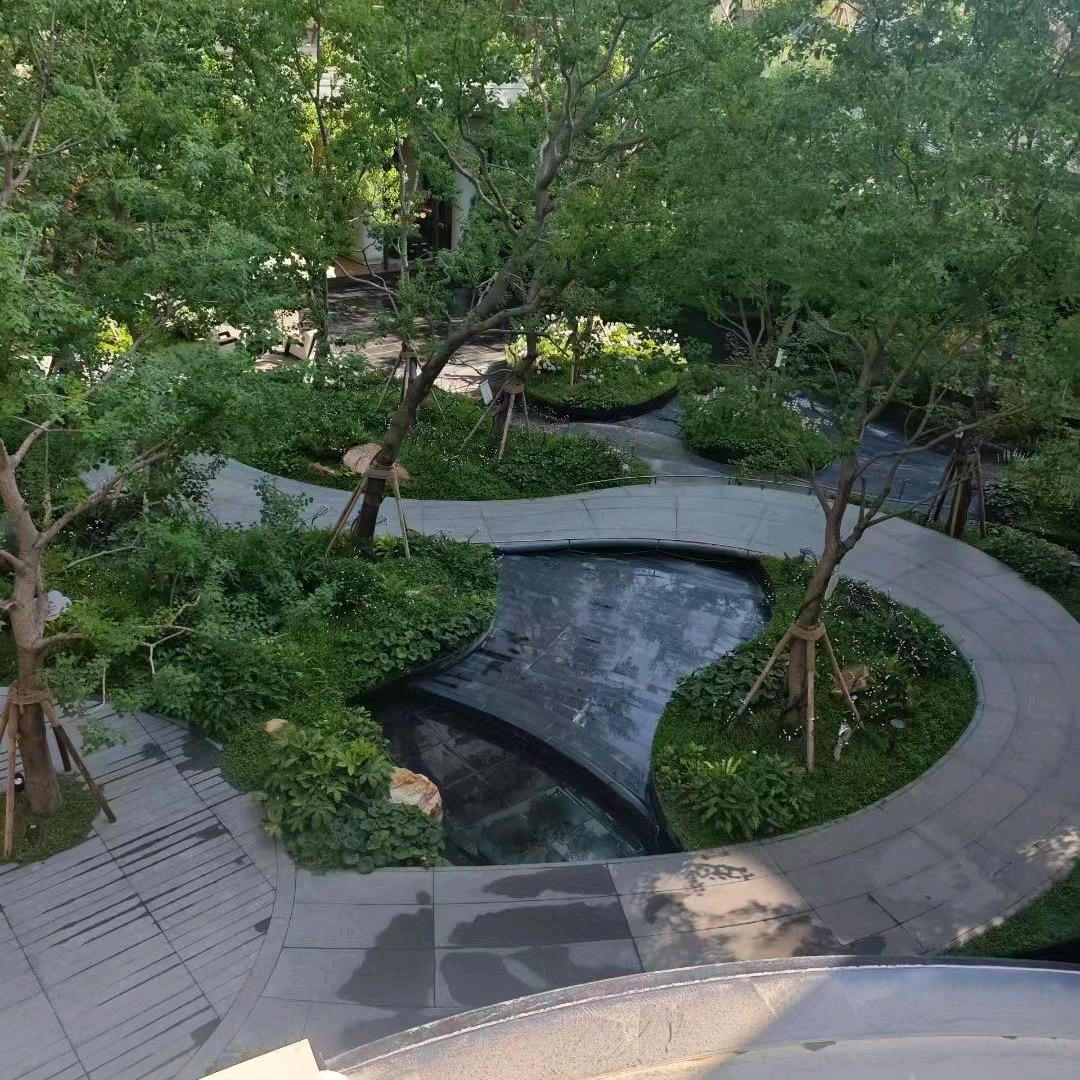 专注龙哥说房