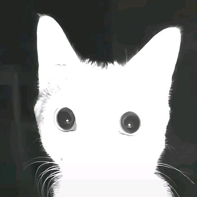 柬埔寨超音速新郎官轰炸肉夹馍施工现场