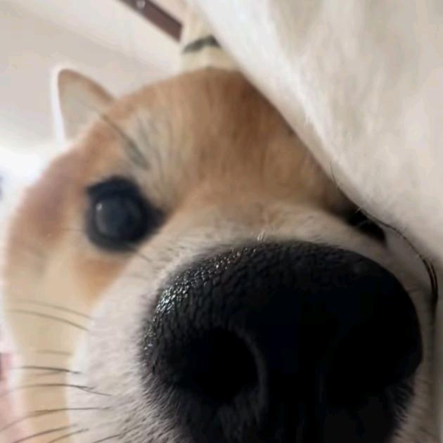 呵呵
