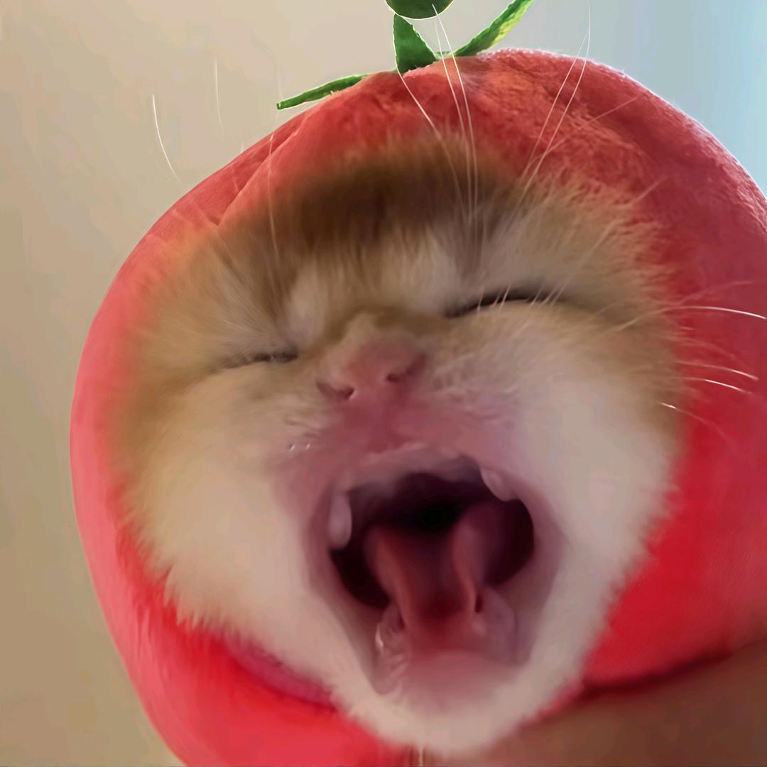 婧婧