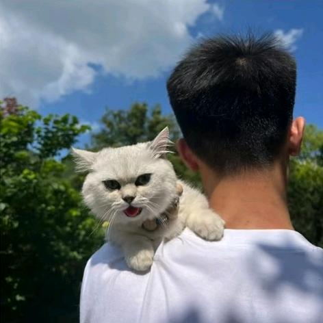 唯爱૮꒰ྀི