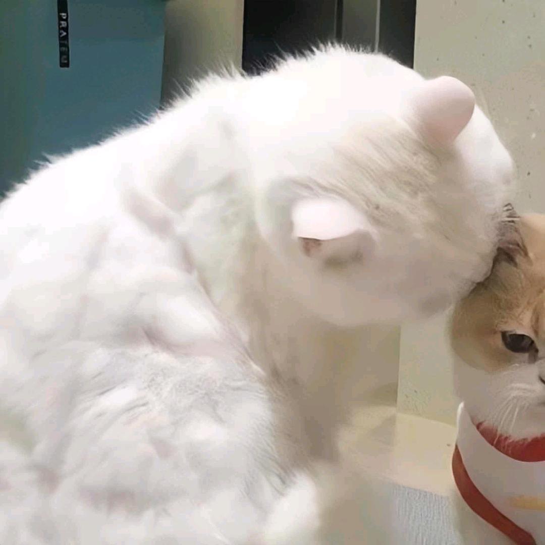 至少今天很快乐