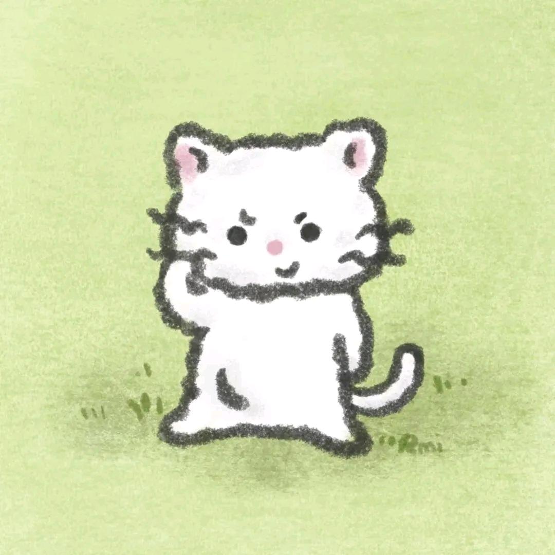 开心小姐.