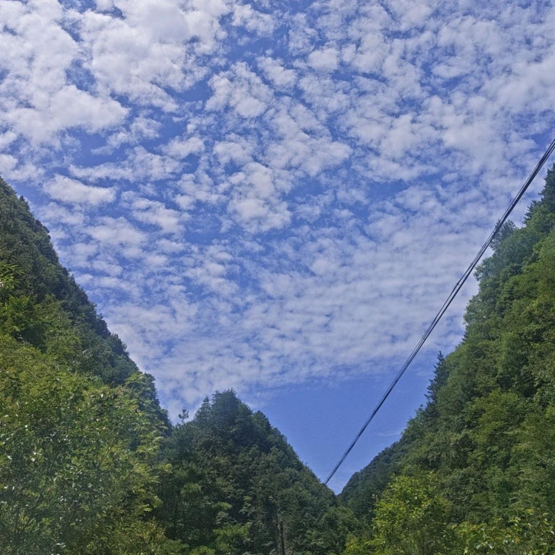 自律自强自立   早点上岸