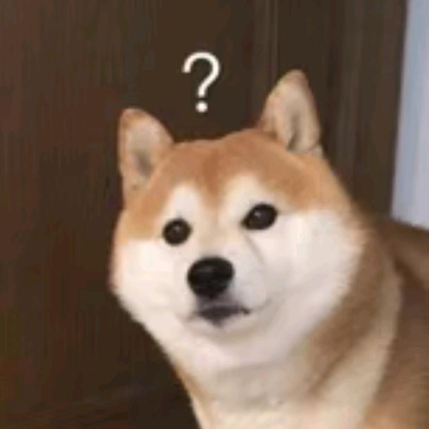超级无敌大聪明