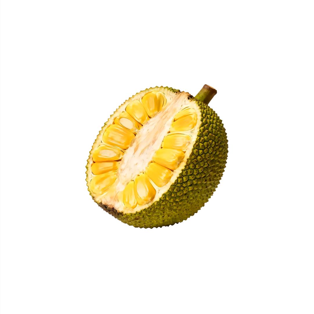 锋之行