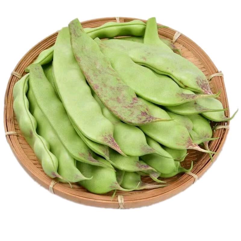 彩果鲜蔬精选小铺