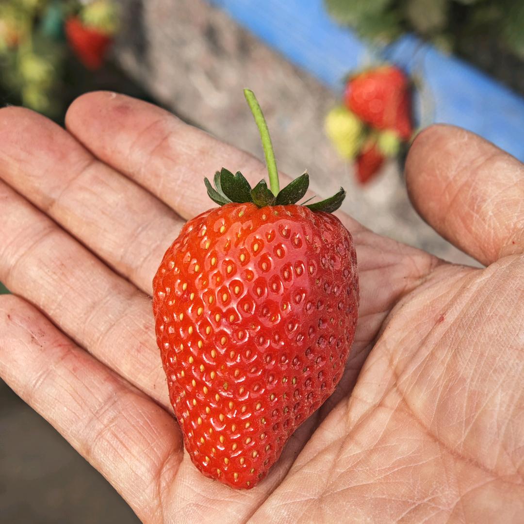 一切从头开始9774