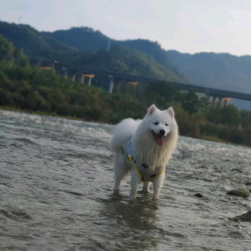 海上孤岛