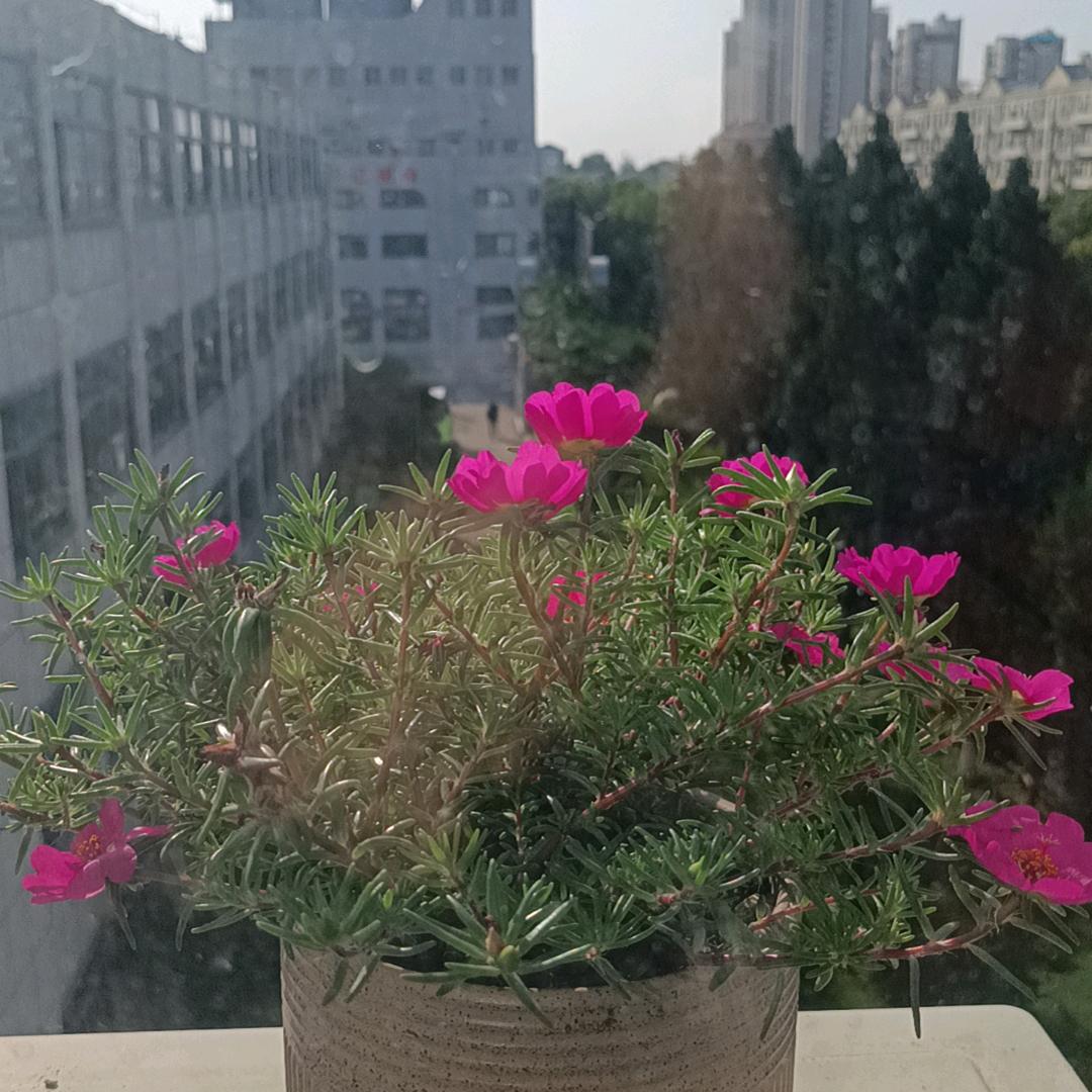 观澜万境~庞辉