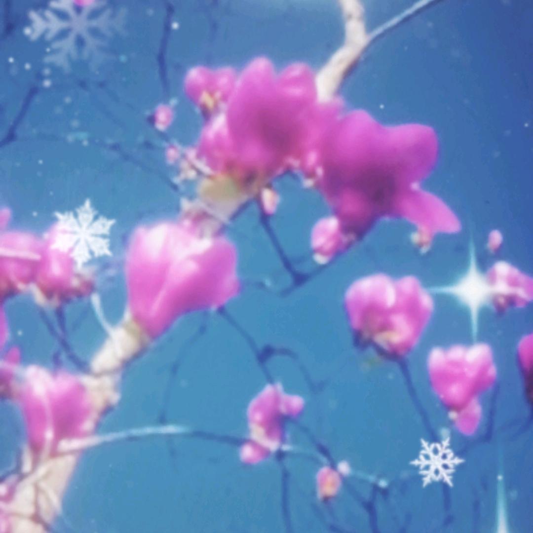 一抹红