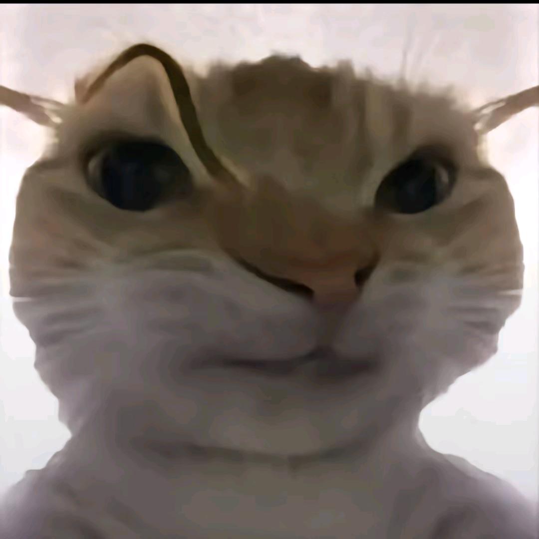 重书
