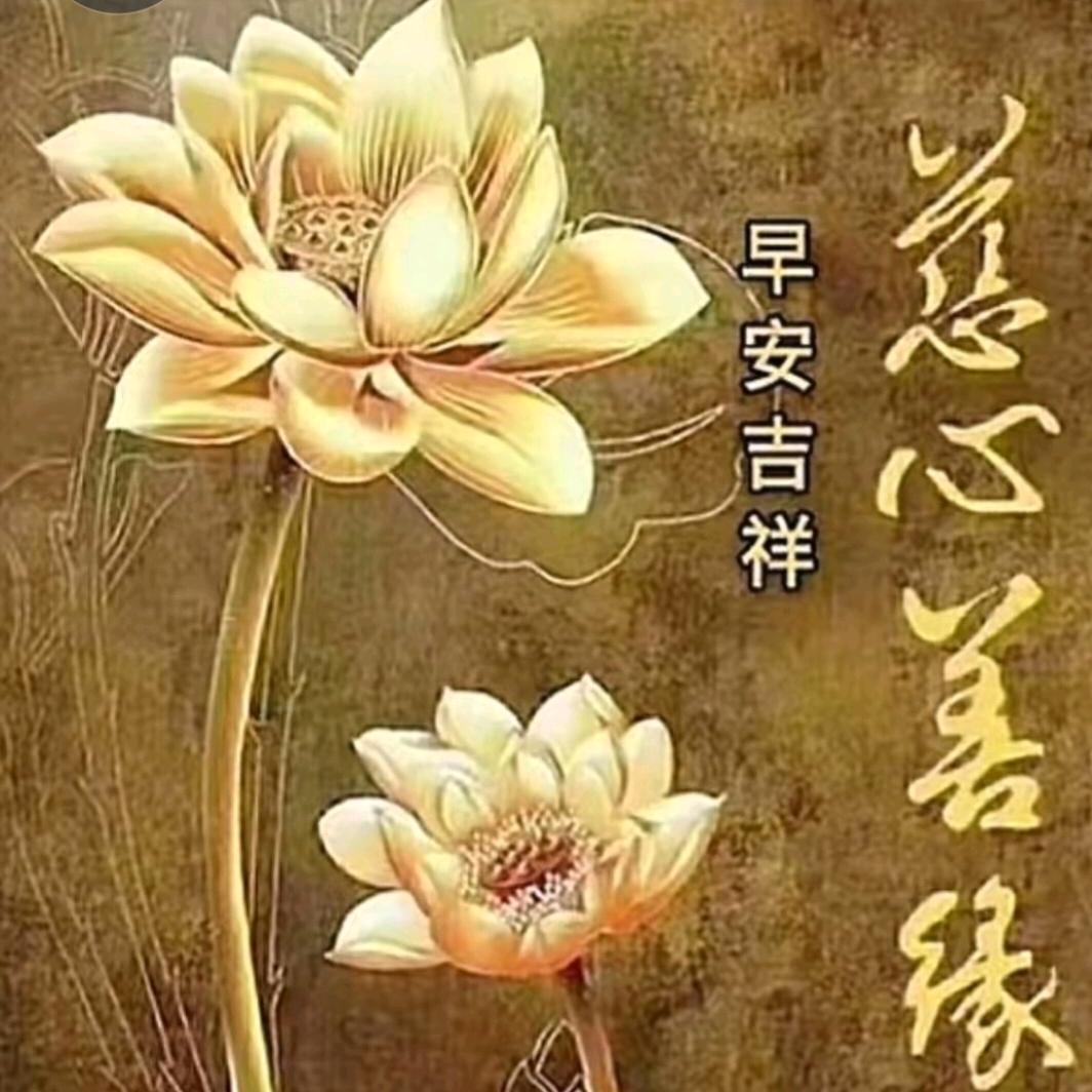 轩9545🙂🙂🙂高山观水流