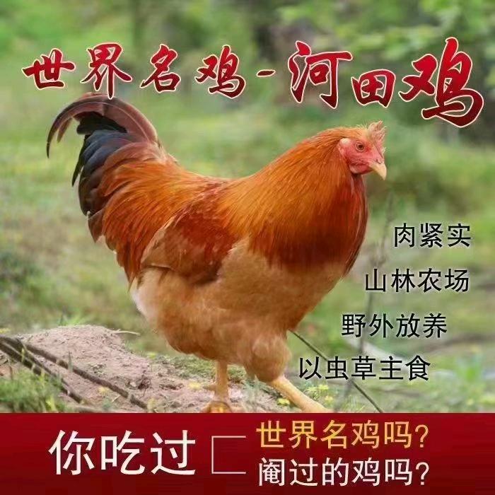 闽汀香芋客家菜