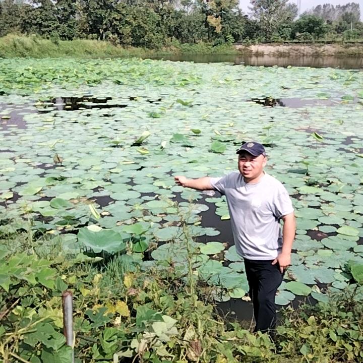 双柳刘一家鱼网批发