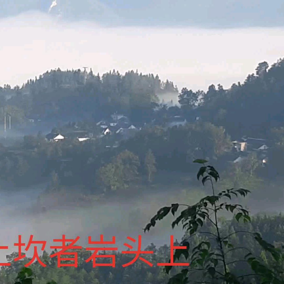 孙
