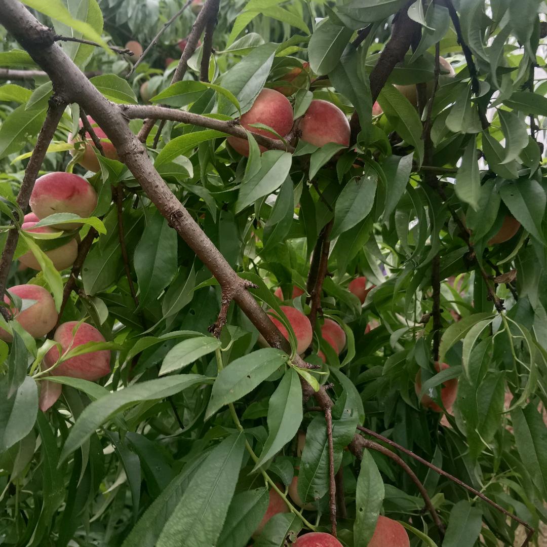 你是让我入了♡的人