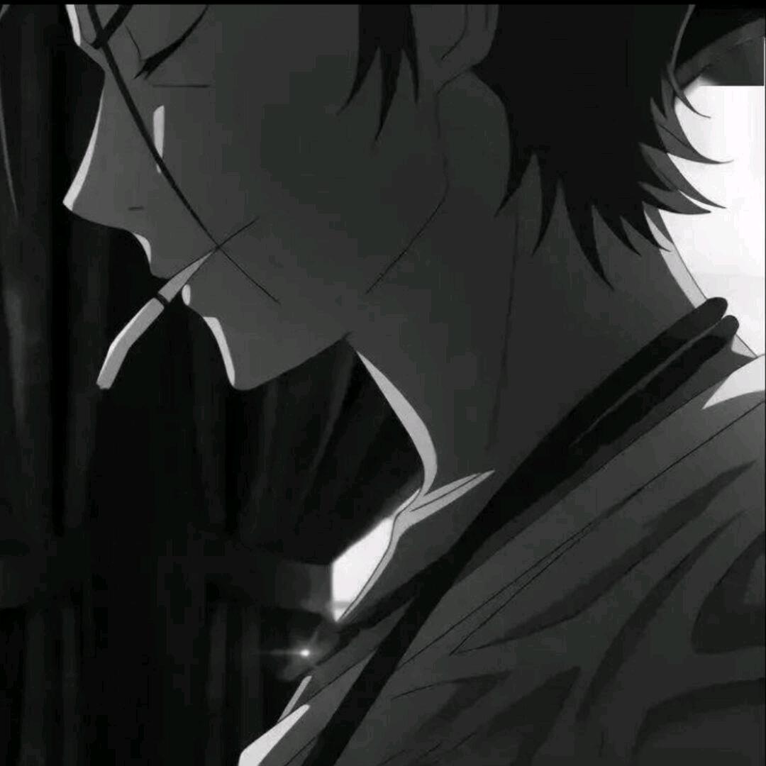 小灰灰（三角洲行动）