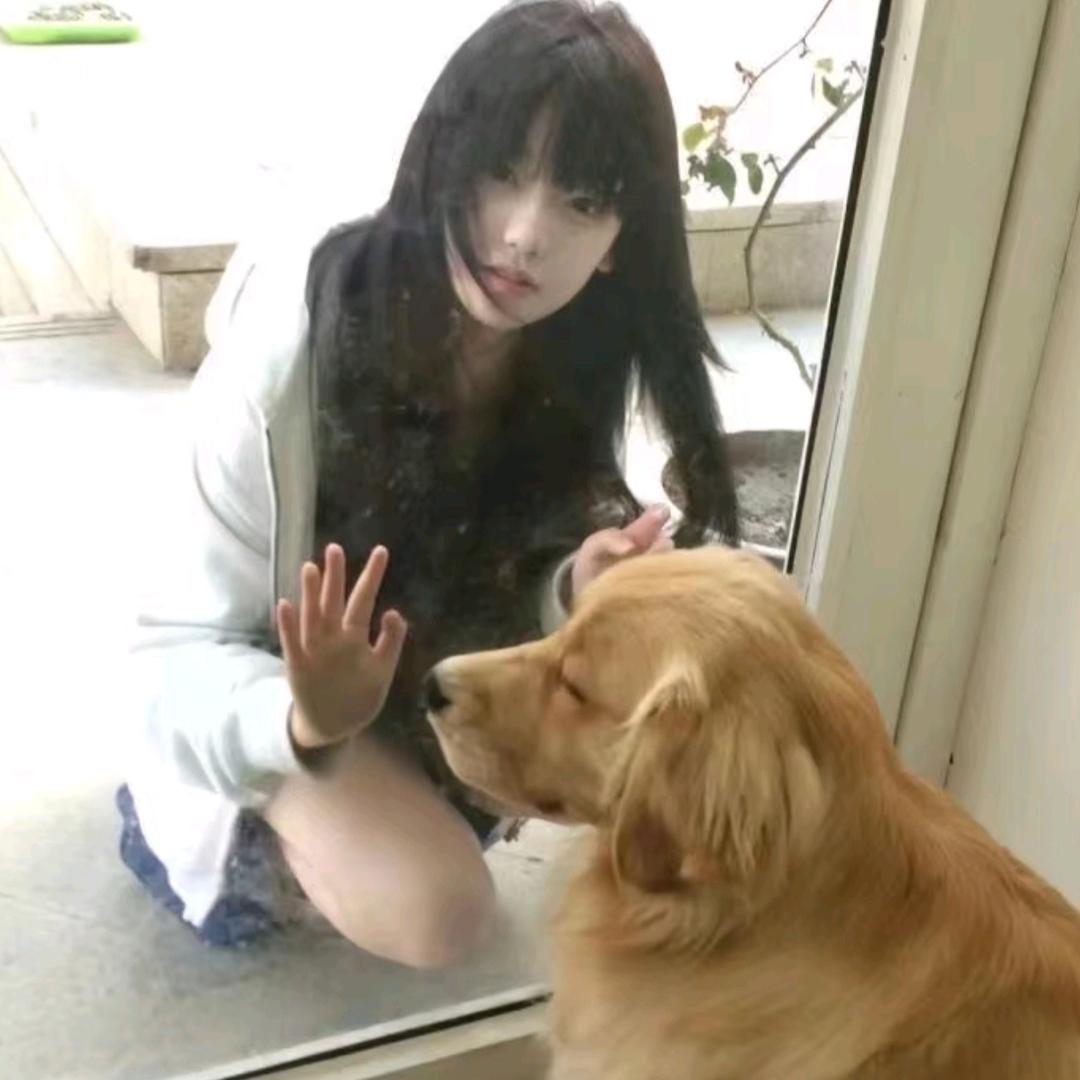 白色樱花