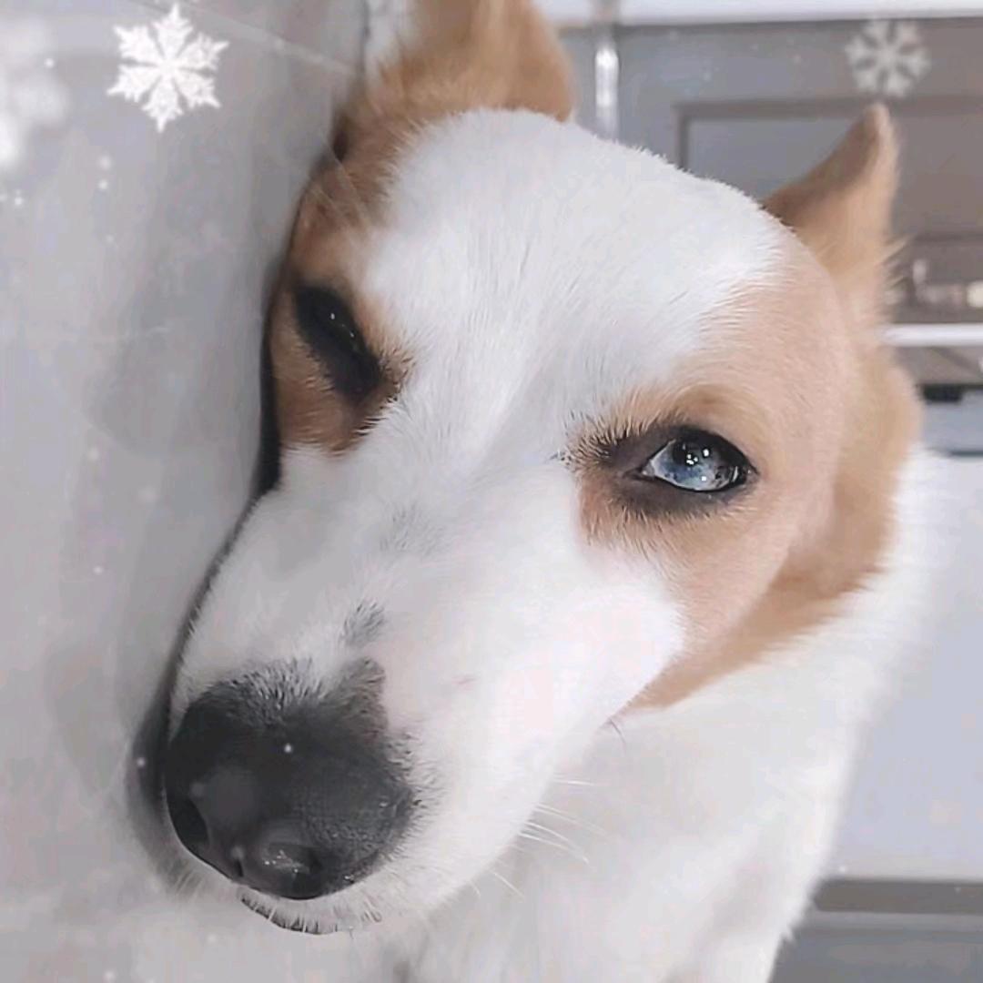 ζ成全了舍得
