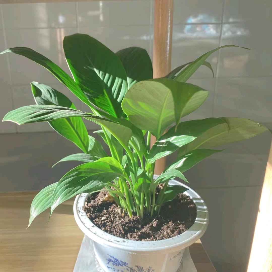 风雨同舟，我们并肩前行