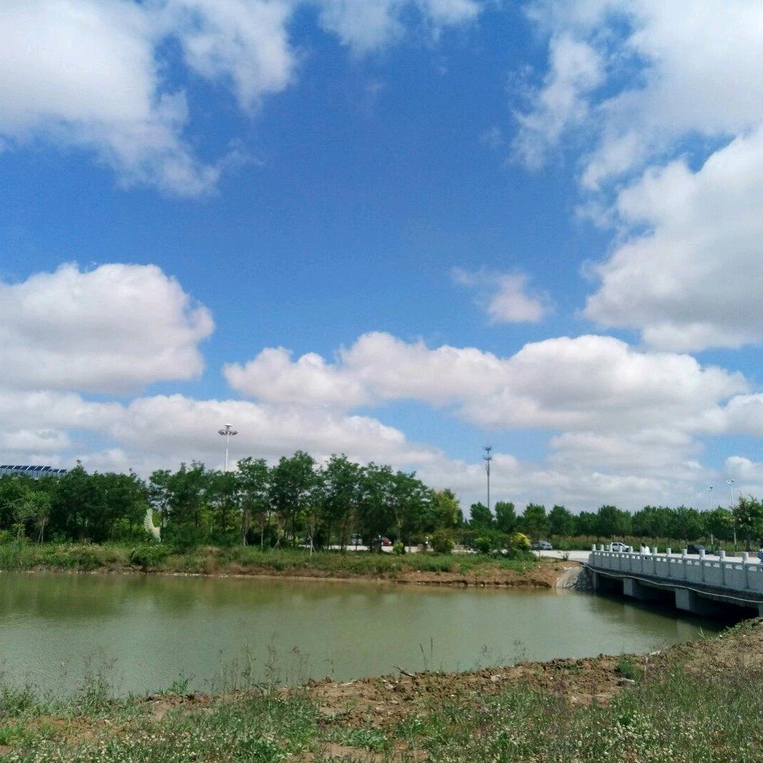 单恋蝶春芃果树苗木专卖店