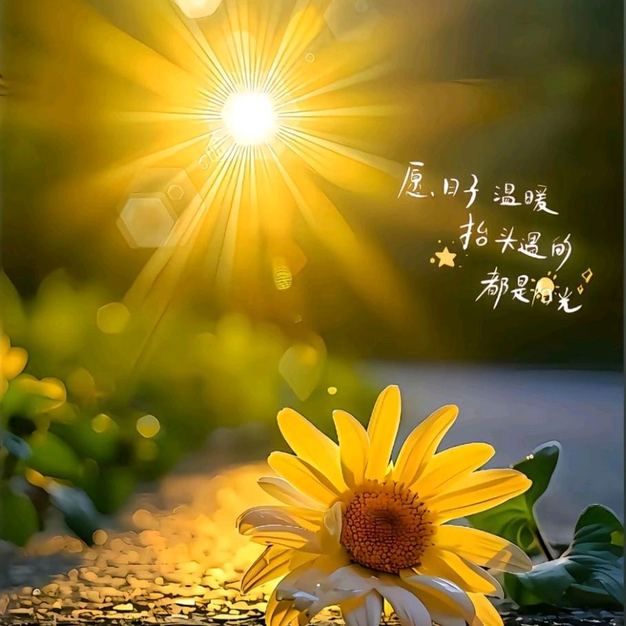 cutelolo个人护理企业店