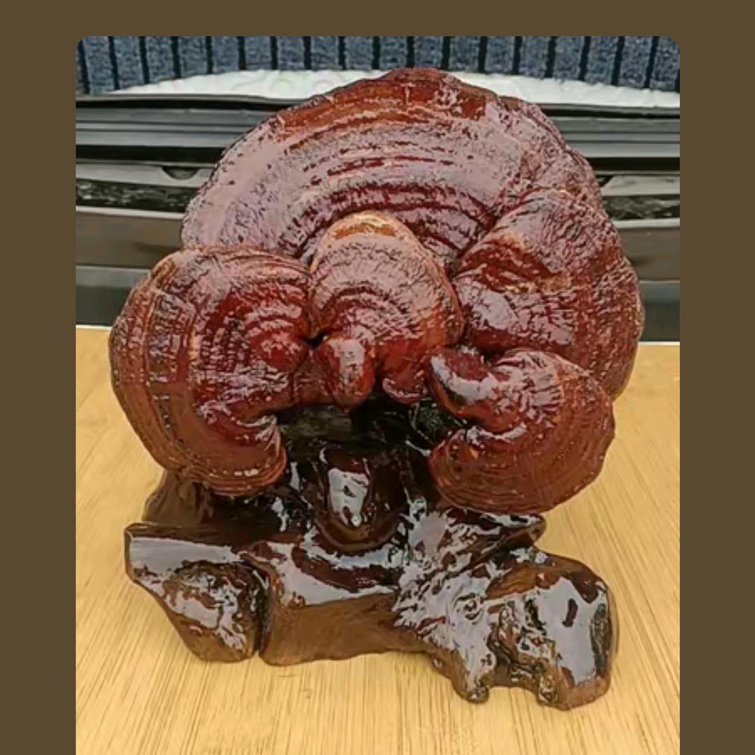 周老师匠艺发型，腰部保养