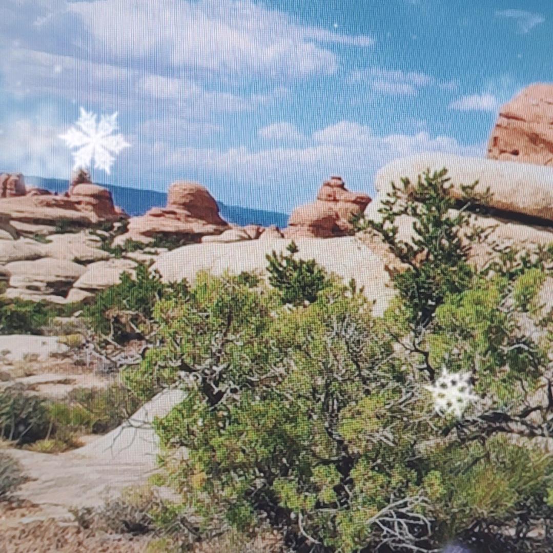 青山绿水..