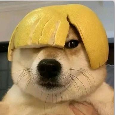 蒓凊禸姠尒敩泩