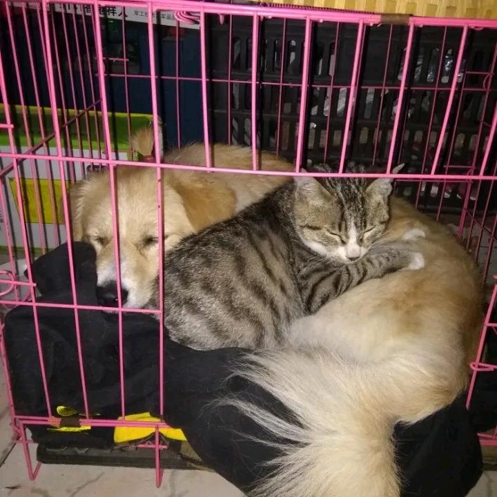 活着就要快乐