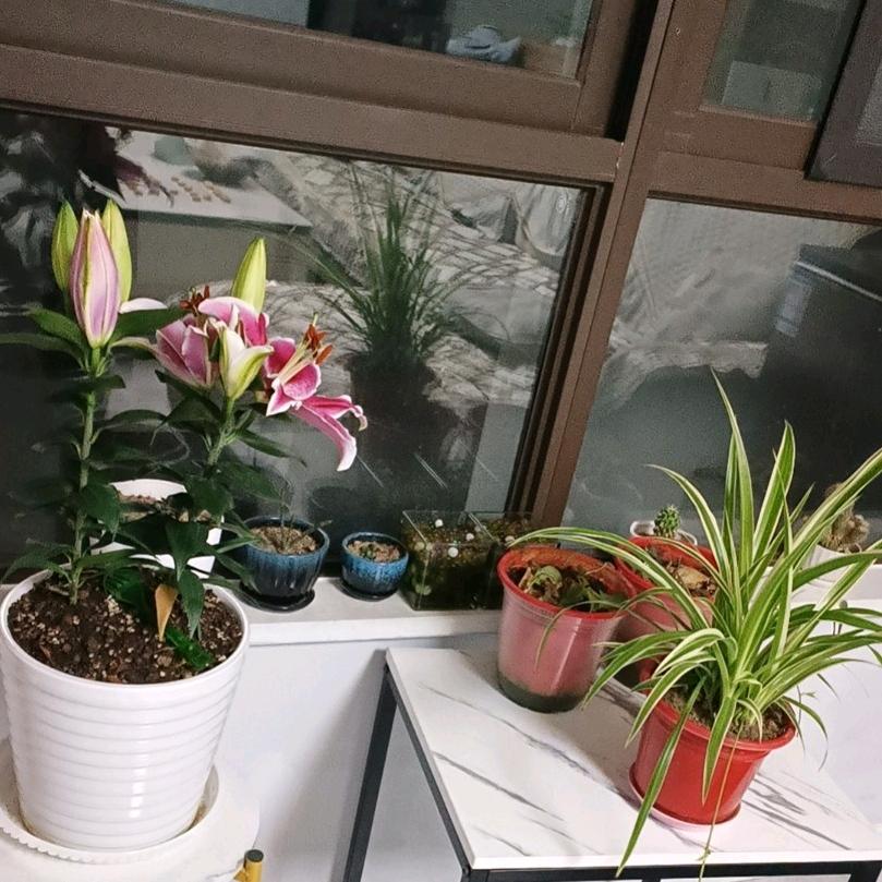 小雨滴💧💧💧