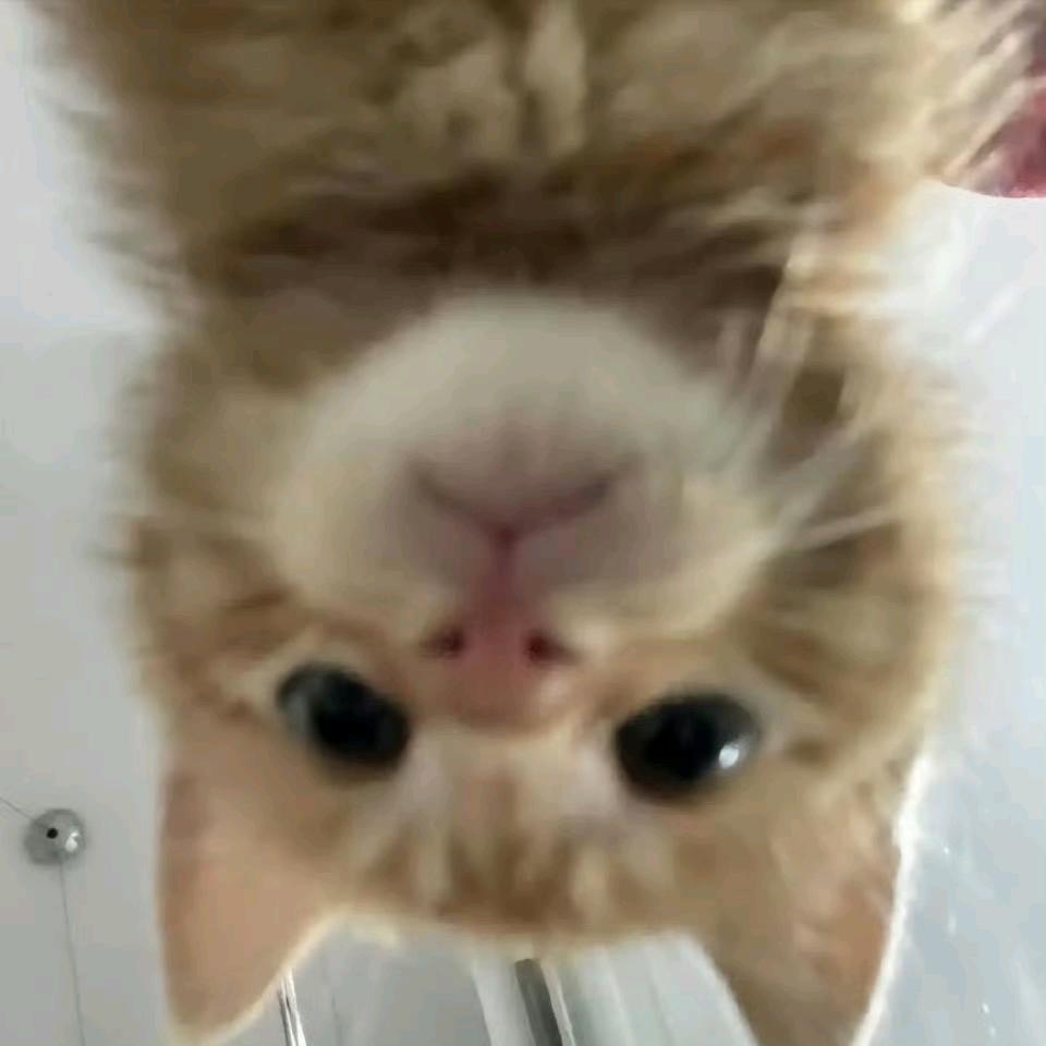 ，