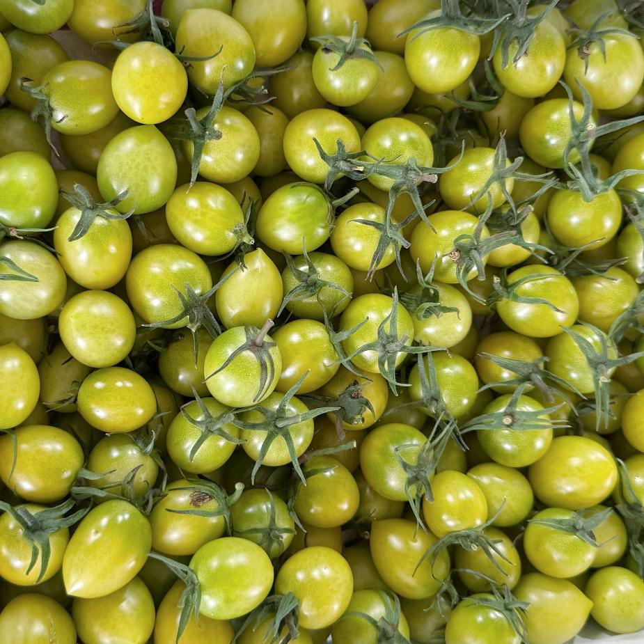 寿光小番茄果蔬