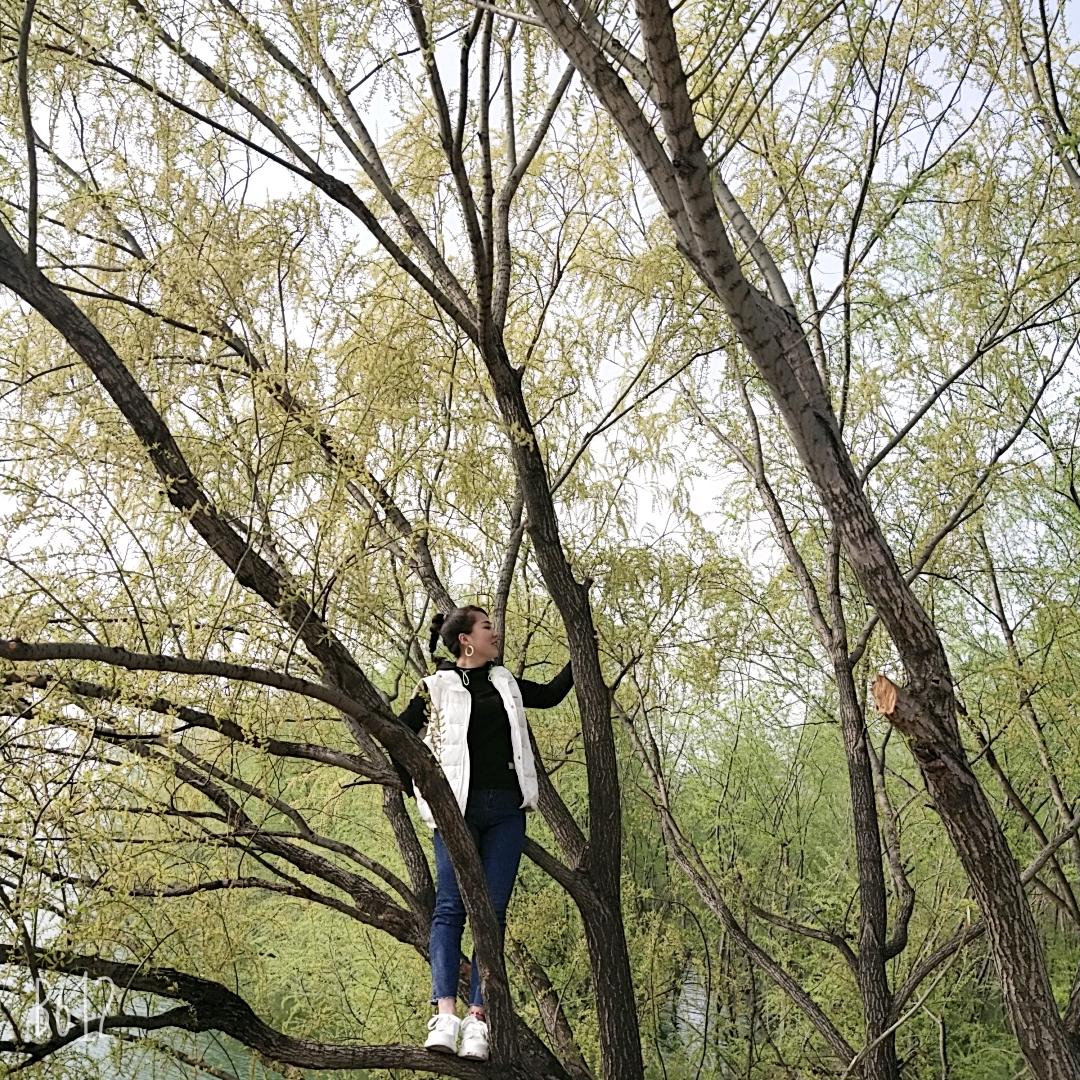 梅子