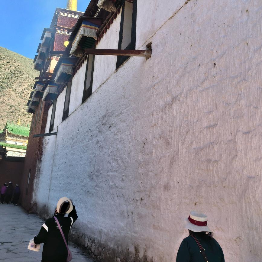 骑着蜗牛追日落💫