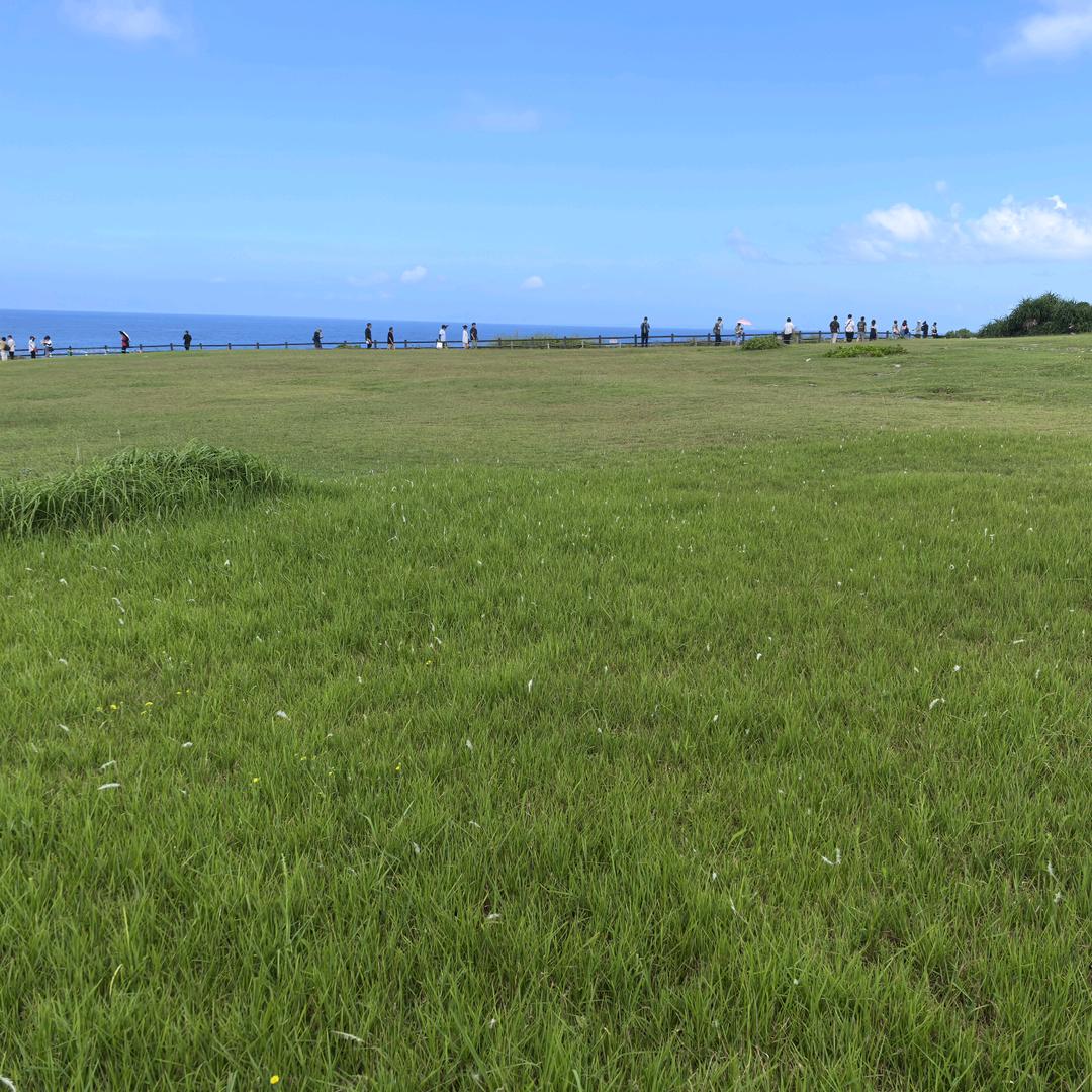 ℒℴѵℯ 十二ོ⁵²⁰