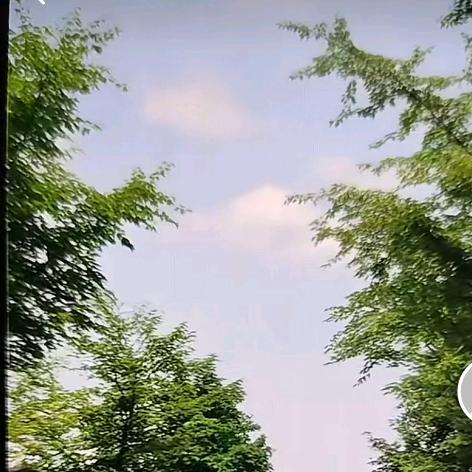 好物分享给你