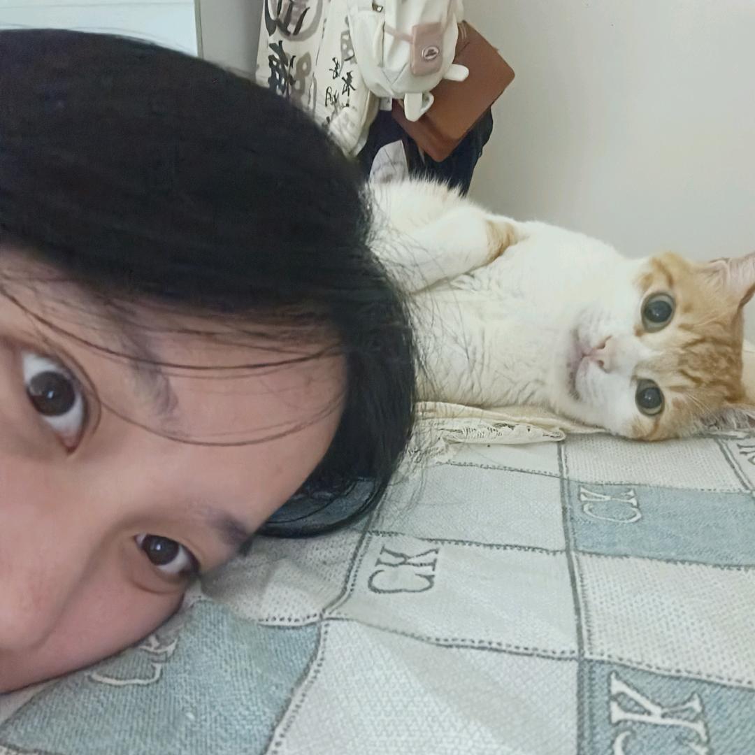 只有一个小猫