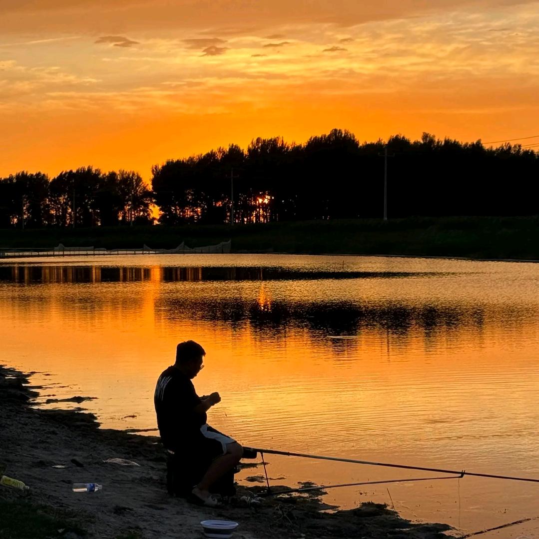 钓鱼老高（野钓黑坑线组）