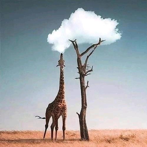 有梦想敢追寻