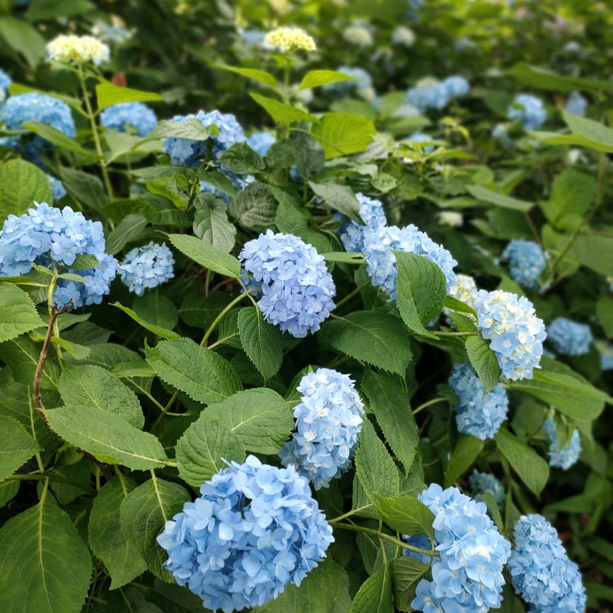 ღ᭄@安然ღ᭄无恙ོꦿ
