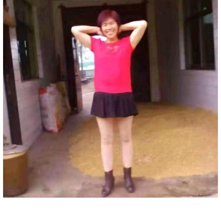 一帆风顺红燕